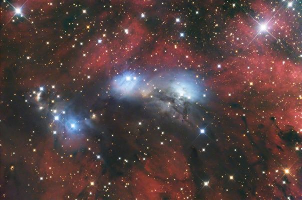 NGC 2264